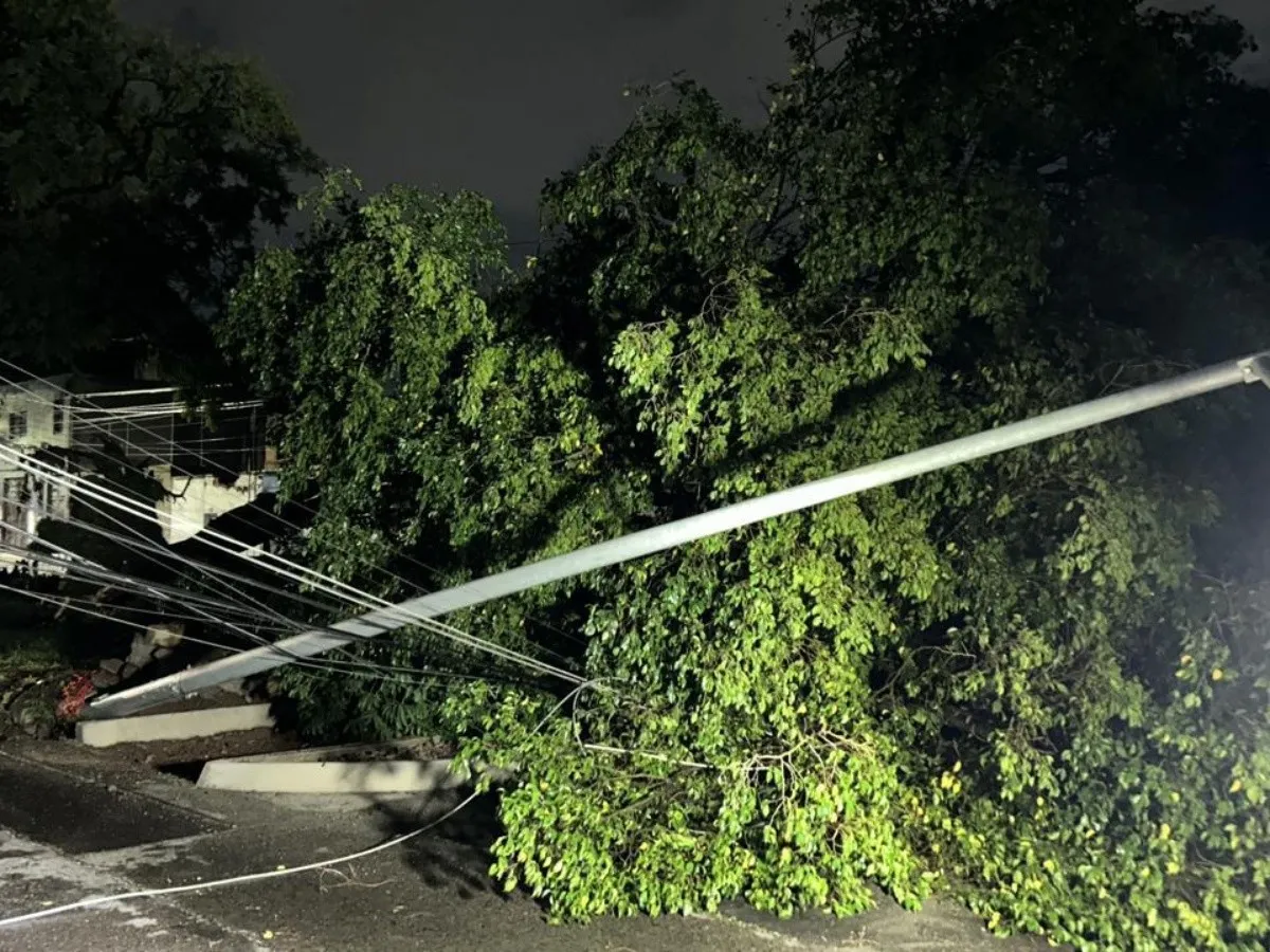 Ráfagas de viento y actividad eléctrica acompañaron la Tormenta en Guadalajara.webp